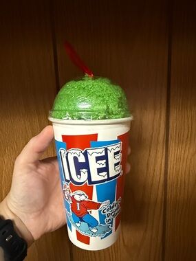 ICEE ladies, two cozy crew socks, shoe size 4 through 10